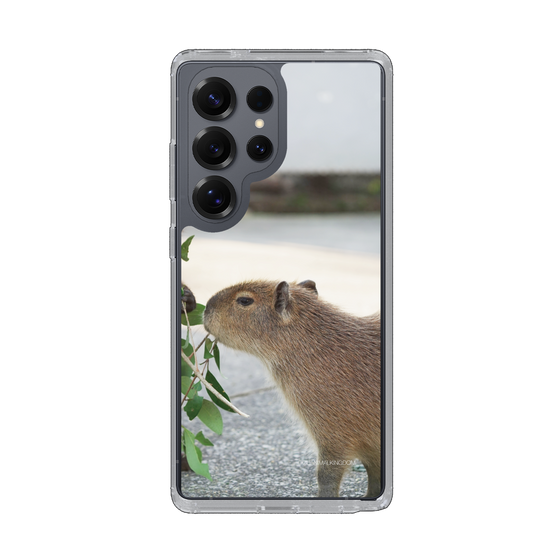 Slim Protection Case［ The Izu Animal Kingdom - Capybara ］