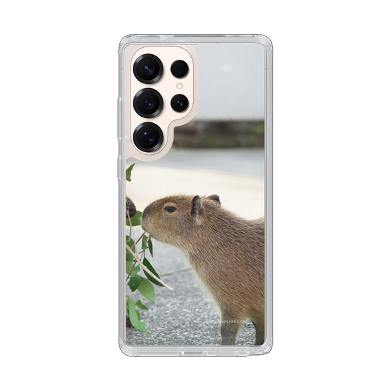 Slim Protection Case［ The Izu Animal Kingdom - Capybara ］