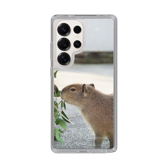 Slim Protection Case［ The Izu Animal Kingdom - Capybara ］