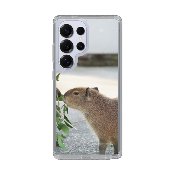 Slim Protection Case［ The Izu Animal Kingdom - Capybara ］