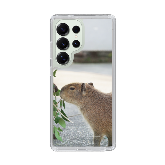 Slim Protection Case［ The Izu Animal Kingdom - Capybara ］