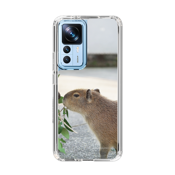 Slim Protection Case［ The Izu Animal Kingdom - Capybara ］