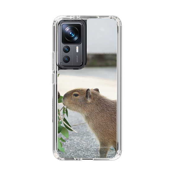 Slim Protection Case［ The Izu Animal Kingdom - Capybara ］