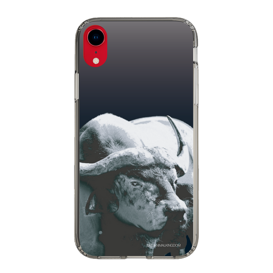Slim Protection Case［ The Izu Animal Kingdom - Buffalo ］
