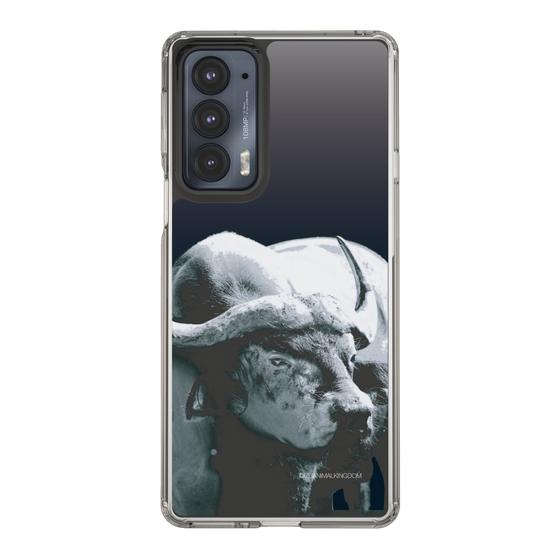 Slim Protection Case［ The Izu Animal Kingdom - Buffalo ］
