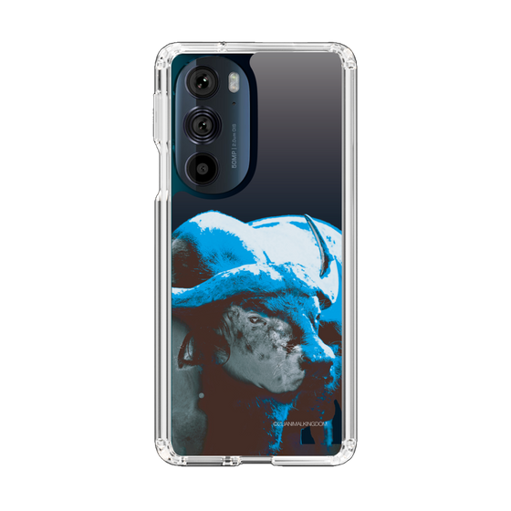 Slim Protection Case［ The Izu Animal Kingdom - Buffalo Monochrome ］