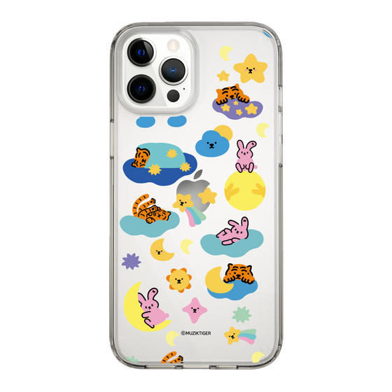 Slim Protection Case［ MUZIK TIGER - Weather ］