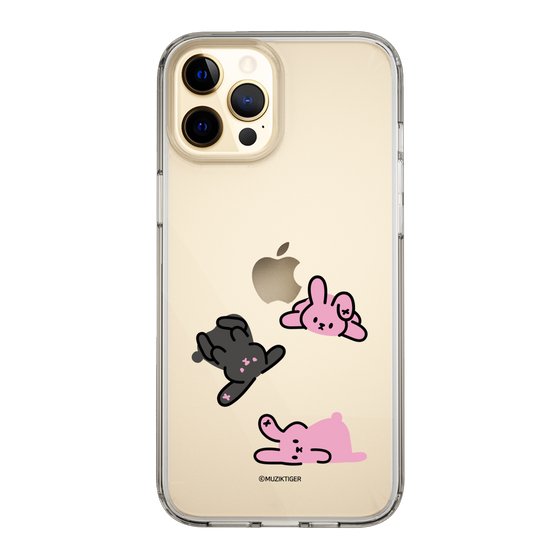 Slim Protection Case［ MUZIK TIGER - PORUMEE ］