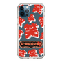 Slim Protection Case［ Nippon Broadcasting System - The Radio Show Red Smile ］