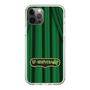 Slim Protection Case［ Nippon Broadcasting System - The Radio Show Green Curtain ］