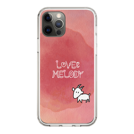 Slim Protection Case［ Nippon Broadcasting System - Akiko Yagi's Love & Melody A ］