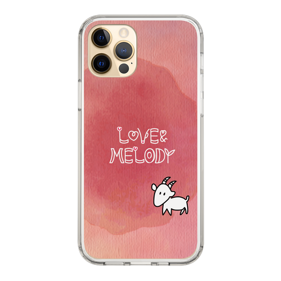Slim Protection Case［ Nippon Broadcasting System - Akiko Yagi's Love & Melody A ］