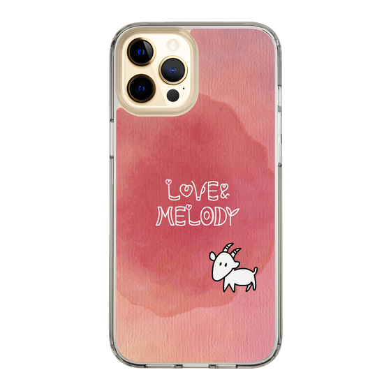 Slim Protection Case［ Nippon Broadcasting System - Akiko Yagi's Love & Melody A ］