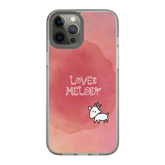 Slim Protection Case［ Nippon Broadcasting System - Akiko Yagi's Love & Melody A ］