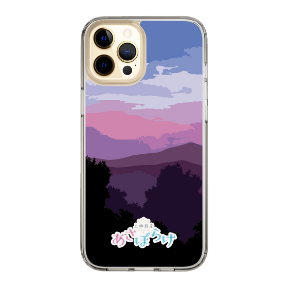 Slim Protection Case［ Nippon Broadcasting System - Masahiko Ueyanagi's Morning Light A ］