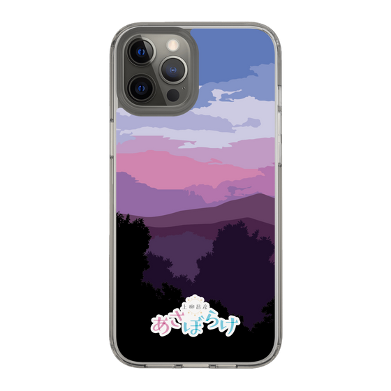 Slim Protection Case［ Nippon Broadcasting System - Masahiko Ueyanagi's Morning Light A ］