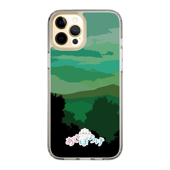 Slim Protection Case［ Nippon Broadcasting System - Masahiko Ueyanagi's Morning Light B ］