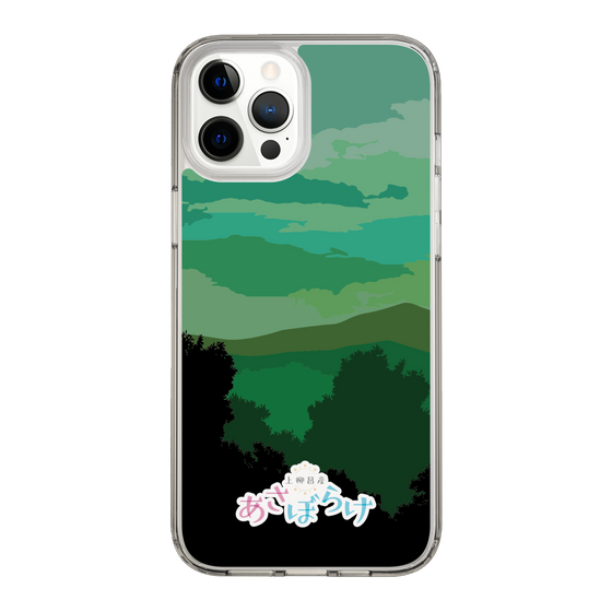 Slim Protection Case［ Nippon Broadcasting System - Masahiko Ueyanagi's Morning Light B ］
