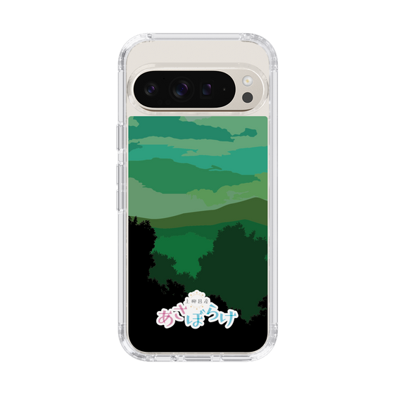Slim Protection Case［ Nippon Broadcasting System - Masahiko Ueyanagi's Morning Light B ］