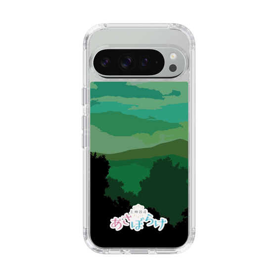 Slim Protection Case［ Nippon Broadcasting System - Masahiko Ueyanagi's Morning Light B ］