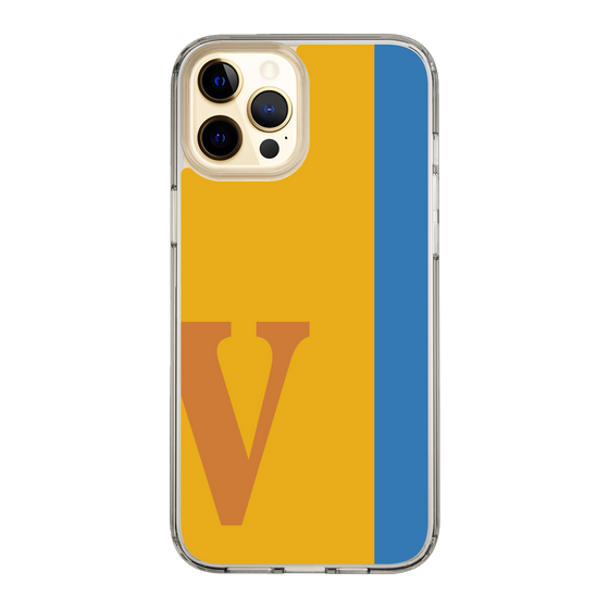 Slim Protection Case［ Original - initial color line - V orange ］