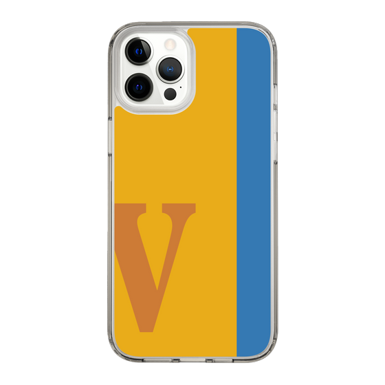 Slim Protection Case［ Original - initial color line - V orange ］