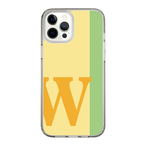 Slim Protection Case［ Original - initial color line - W yellow ］