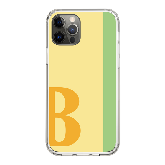 Slim Protection Case［ Original - initial color line - B yellow ］