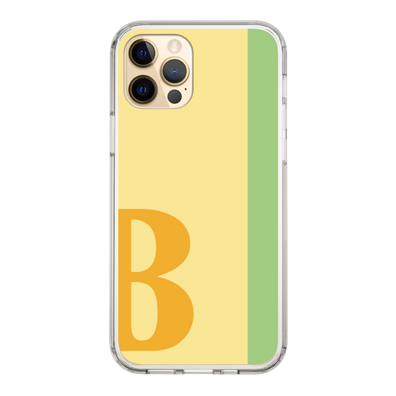 Slim Protection Case［ Original - initial color line - B yellow ］