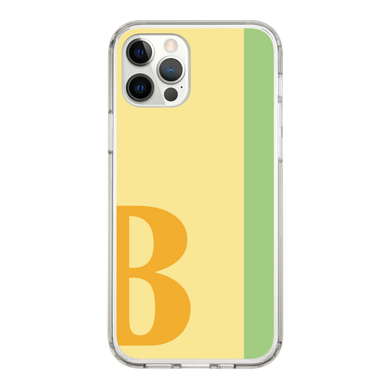 Slim Protection Case［ Original - initial color line - B yellow ］