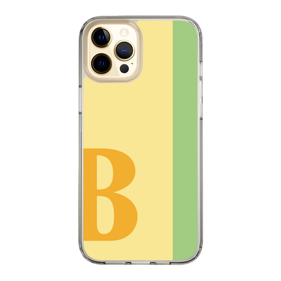 Slim Protection Case［ Original - initial color line - B yellow ］