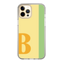 Slim Protection Case［ Original - initial color line - B yellow ］