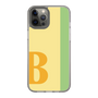 Slim Protection Case［ Original - initial color line - B yellow ］