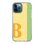Slim Protection Case［ Original - initial color line - B yellow ］