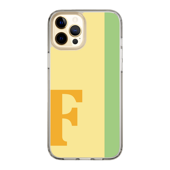 Slim Protection Case［ Original - initial color line - F yellow ］