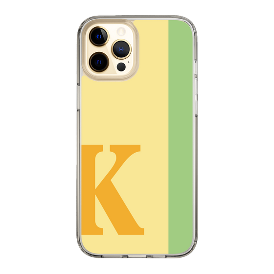 Slim Protection Case［ Original - initial color line - K yellow ］