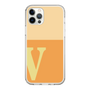 Slim Protection Case［ Original - initial two tone - V orange ］