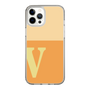 Slim Protection Case［ Original - initial two tone - V orange ］