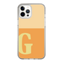 Slim Protection Case［ Original - initial two tone - G orange ］