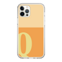 Slim Protection Case［ Original - initial two tone - Q orange ］