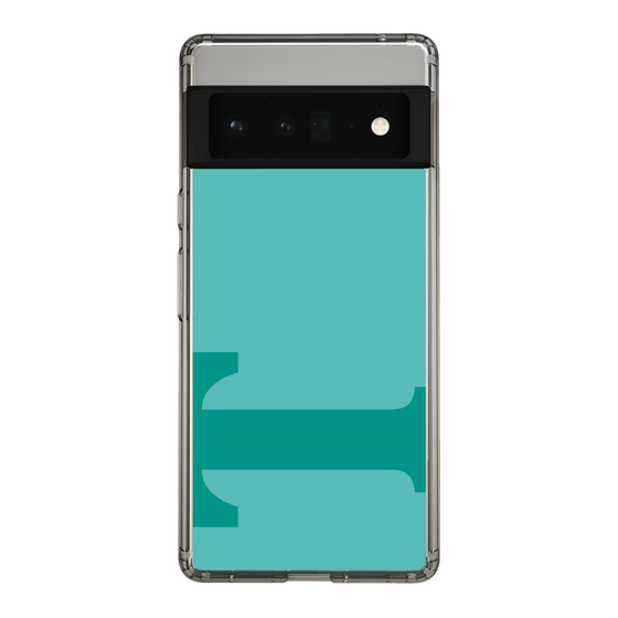Slim Protection Case［ Original - initial color - T light green ］