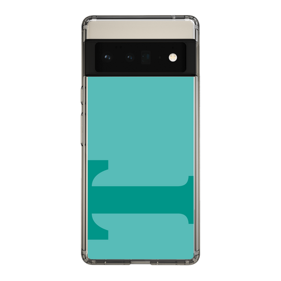 Slim Protection Case［ Original - initial color - T light green ］