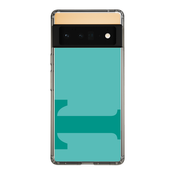 Slim Protection Case［ Original - initial color - T light green ］