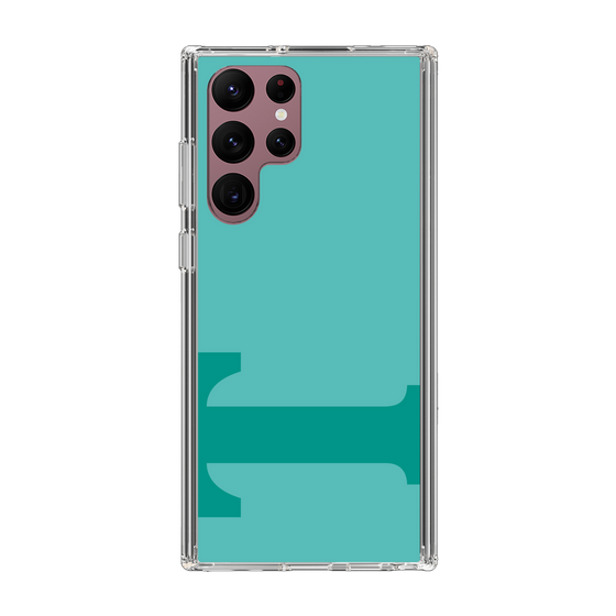 Slim Protection Case［ Original - initial color - T light green ］