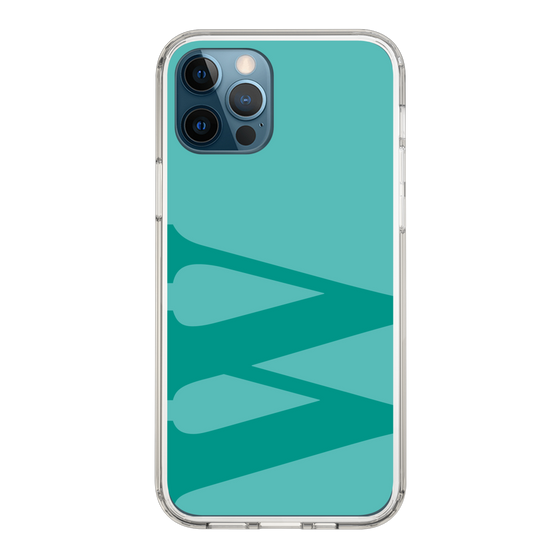Slim Protection Case［ Original - initial color - W light green ］