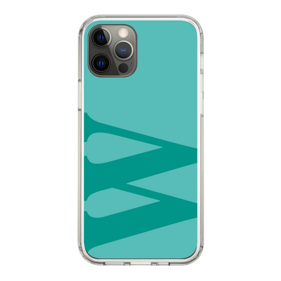 Slim Protection Case［ Original - initial color - W light green ］