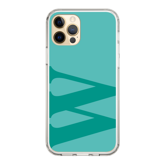 Slim Protection Case［ Original - initial color - W light green ］