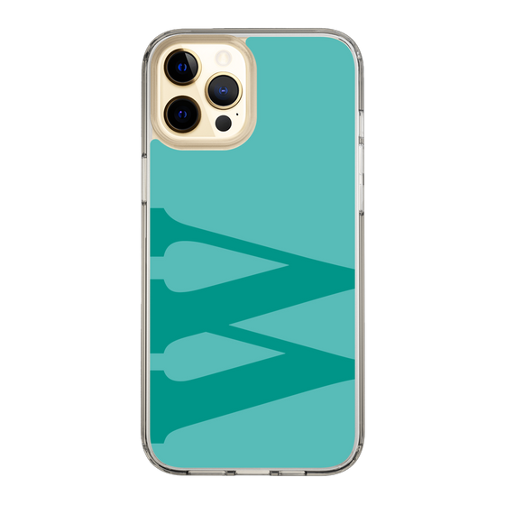 Slim Protection Case［ Original - initial color - W light green ］