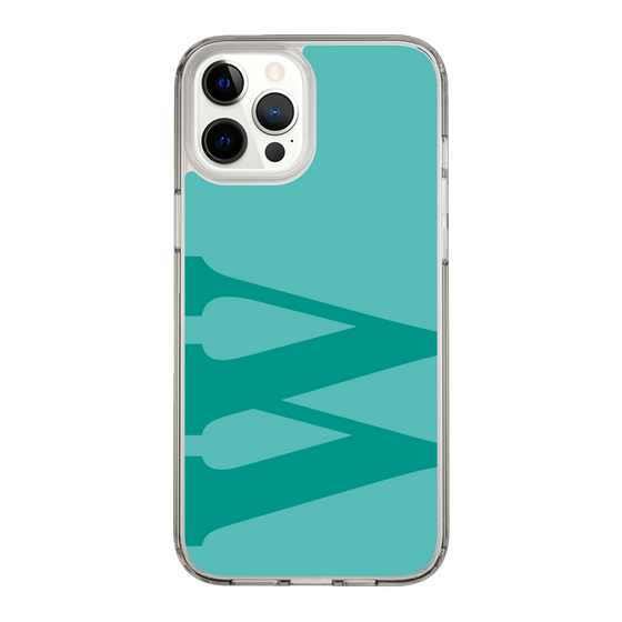 Slim Protection Case［ Original - initial color - W light green ］