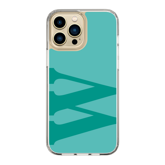 Slim Protection Case［ Original - initial color - W light green ］
